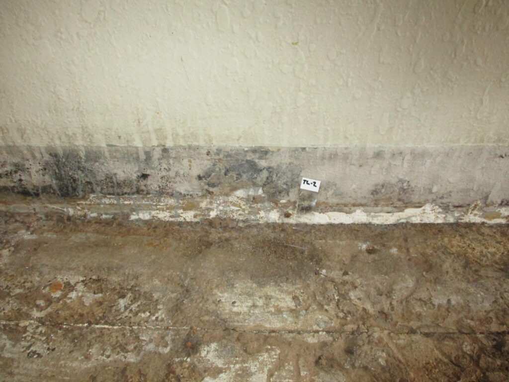 Mold inspection for moisture damage and visible growth in an interior building area