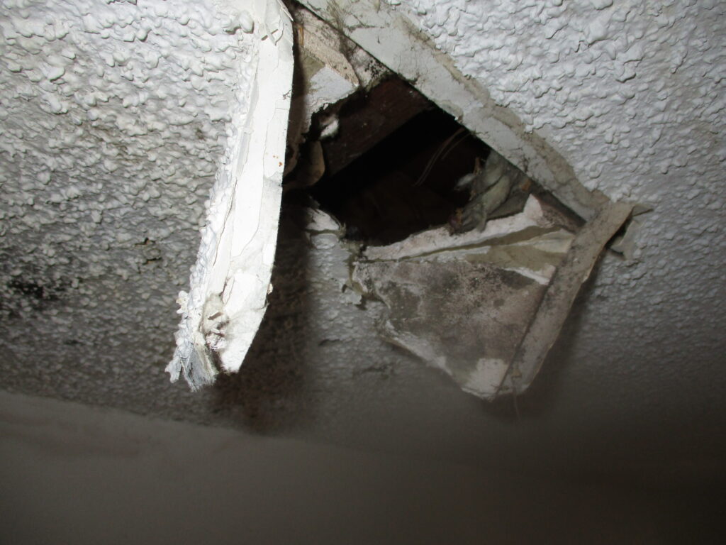 Asbestos testing for damaged ceiling materials before renovation or demolition work
